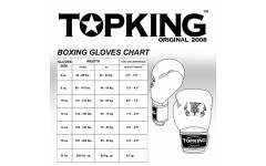 Боксерские перчатки Top King Boxing SUPER AIR STAR silver 16 oz