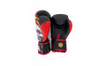 Боксёрские перчатки Raja Fancy Skull King 14 oz