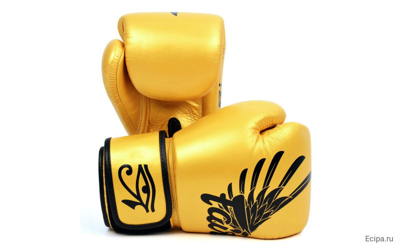 Боксерские перчатки Fairtex BGV1 Falcon 10 oz