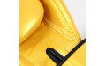 Боксерские перчатки Fairtex BGV1 Falcon 12 oz
