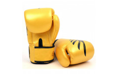 Боксерские перчатки Fairtex BGV1 Falcon 16 oz Боксерские перчатки Fairtex BGV1 Falcon 16 oz