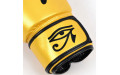 Боксерские перчатки Fairtex BGV1 Falcon 16 oz