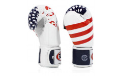 Боксерские перчатки Fairtex BGV1 USA 10 oz Боксерские перчатки Fairtex BGV1 USA 10 oz