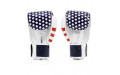 Боксерские перчатки Fairtex BGV1 USA 10 oz