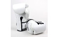 Боксерские перчатки турнира Glory Fairtex BGVG1 white 12 oz