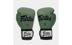 Боксерские перчатки Fairtex BGV11 F-DaY 10 oz Боксерские перчатки Fairtex BGV11 F-DaY 10 oz