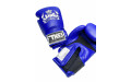 Боксерские перчатки Top King TKBSA blue 10 oz