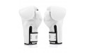 Боксерские перчатки Fairtex BGV14 white 10 oz