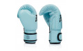Боксерские перчатки Fairtex BGV20 light blue 16 oz