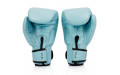 Боксерские перчатки Fairtex BGV20 light blue 16 oz