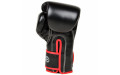Боксерские перчатки Fairtex BGV14 black 16 oz