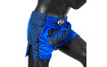 Шорты для бокса Fairtex BS1702 (синий) S