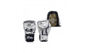Перчатки для бокса Fairtex BGV-FIGHT STORY 10 oz