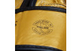 Боксерские перчатки Fairtex BGV19 gold 16 oz