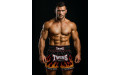 Шорты для бокса Twins Special TBS Flame L Шорты для бокса Twins Special TBS Flame L