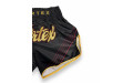 Шорты для бокса Fairtex BS1925 Mr.X - M