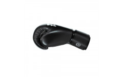 Боксерские перчатки Fairtex BGV27 black 16 oz Боксерские перчатки Fairtex BGV27 black 16 oz