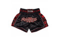 Шорты для бокса Twins Special TBS skull black XL