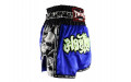 Шорты для бокса Twins Special TBS skull blue XL