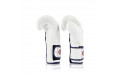 Боксерские перчатки Fairtex BGV9 white 16 oz