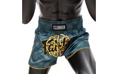 Шорты для бокса Fairtex BS1915 XL Шорты для бокса Fairtex BS1915 XL
