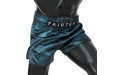 Шорты для бокса Fairtex BS1902 (аква) 2XL