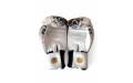 Боксёрские перчатки Raja White Tiger 14 oz
