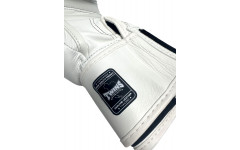 Боксерские перчатки Twins Special BGVL3 white 20 oz