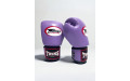 Боксерские перчатки Twins Special BGVL3 Lavender 16 oz