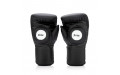 Тренерские перчатки-лапы Fairtex BGV13 black